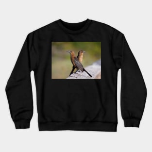 Contemplation Crewneck Sweatshirt